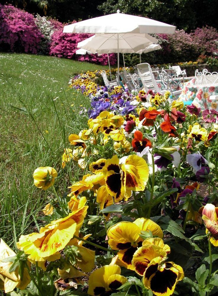 Hotel Du Parc Lake Maggiore Zewnętrze zdjęcie
