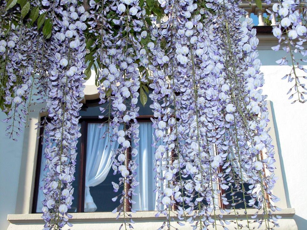 Hotel Du Parc Lake Maggiore Zewnętrze zdjęcie