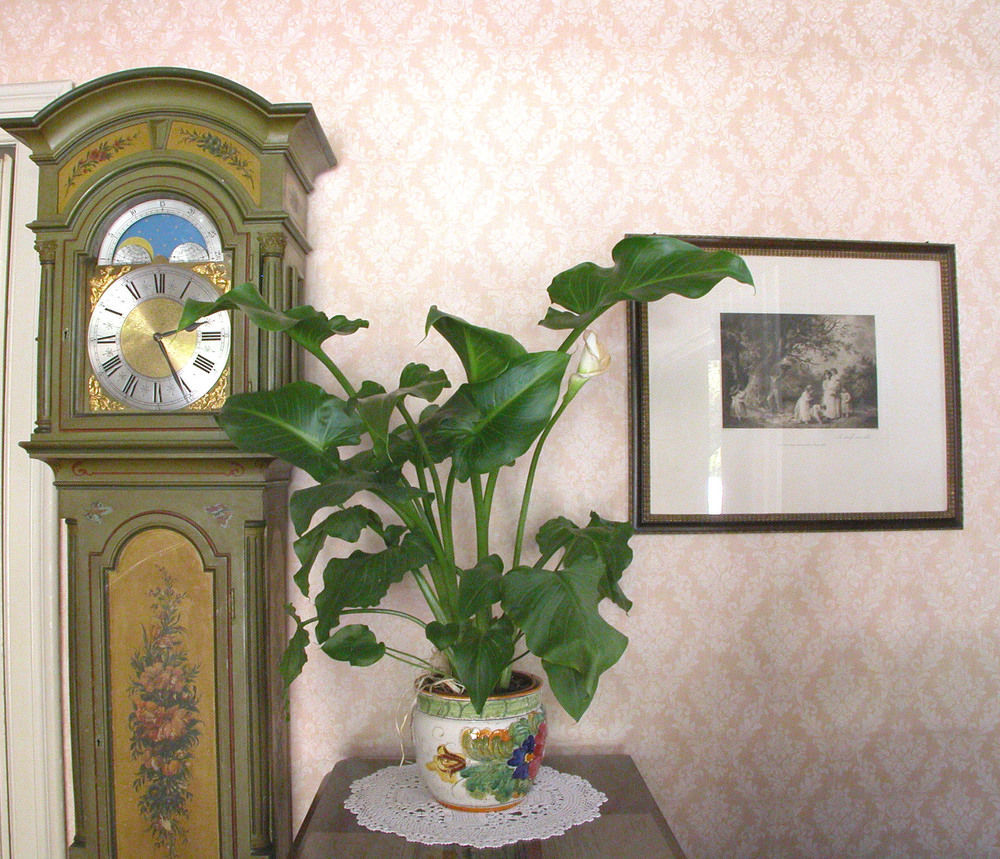 Hotel Du Parc Lake Maggiore Zewnętrze zdjęcie