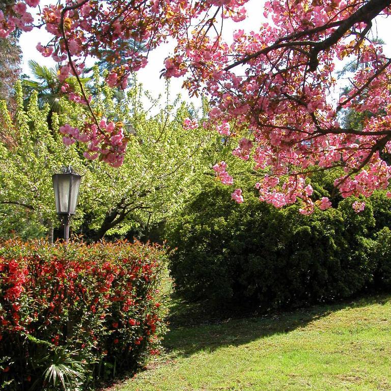 Hotel Du Parc Lake Maggiore Zewnętrze zdjęcie