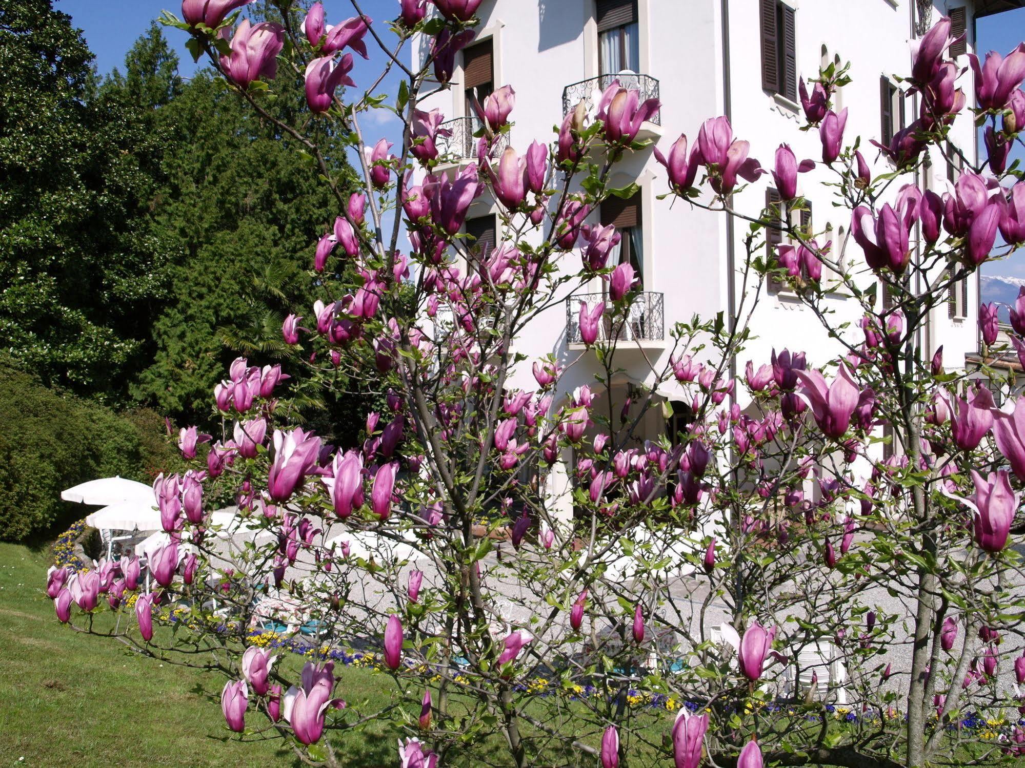 Hotel Du Parc Lake Maggiore Zewnętrze zdjęcie